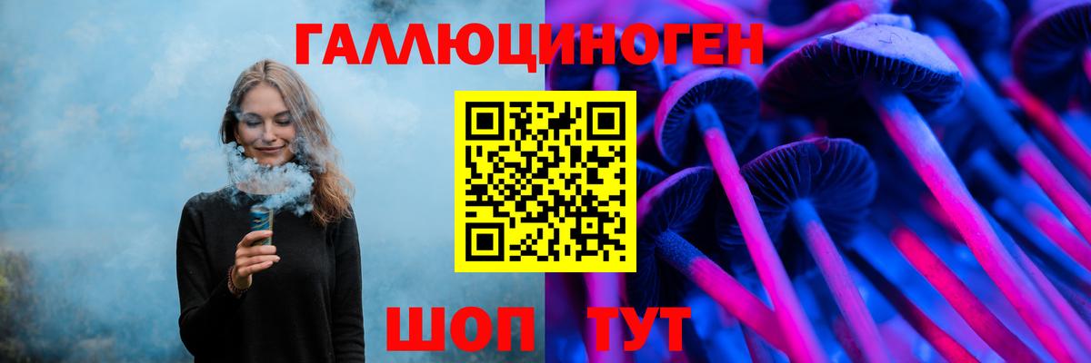 Волхов  Псилоцибиновые грибы Cubensis  Вход с VPN 